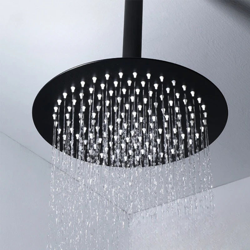 Juno Commercials Ceiling Mount Stainless Steel Shower Head in Turbocharged Black Series